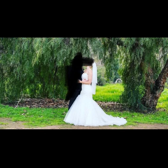 Sottero & Midgley Mermaid Wedding Gown - Picture 4 of 6